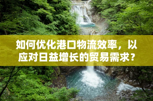 如何优化港口物流效率，以应对日益增长的贸易需求？