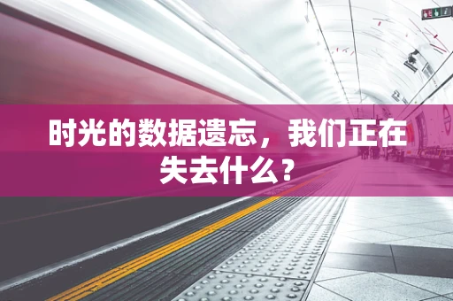 时光的数据遗忘，我们正在失去什么？
