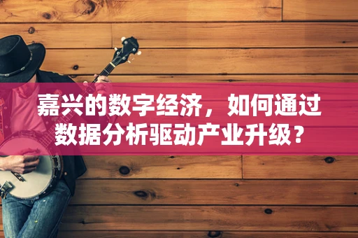 嘉兴的数字经济，如何通过数据分析驱动产业升级？