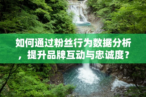 如何通过粉丝行为数据分析，提升品牌互动与忠诚度？
