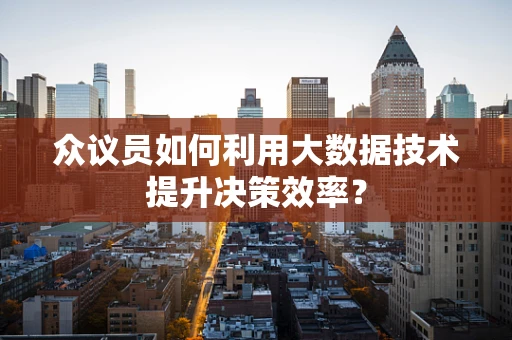 众议员如何利用大数据技术提升决策效率？