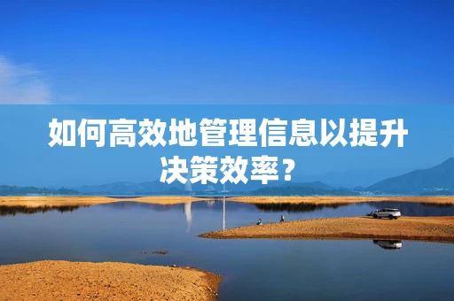 如何高效地管理信息以提升决策效率？