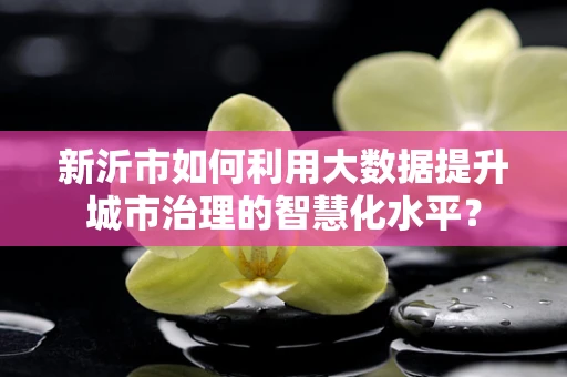 新沂市如何利用大数据提升城市治理的智慧化水平？