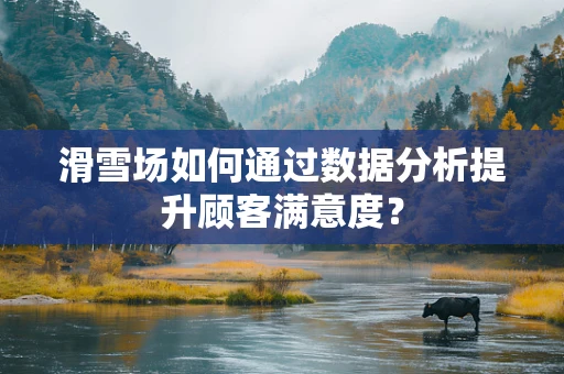 滑雪场如何通过数据分析提升顾客满意度？