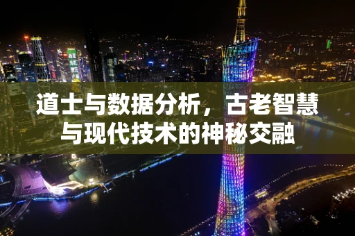 道士与数据分析，古老智慧与现代技术的神秘交融