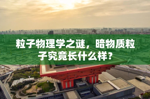 粒子物理学之谜，暗物质粒子究竟长什么样？