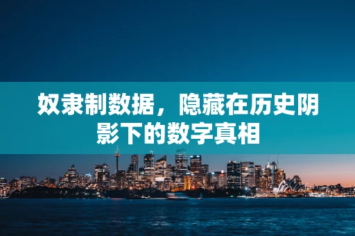 奴隶制数据，隐藏在历史阴影下的数字真相