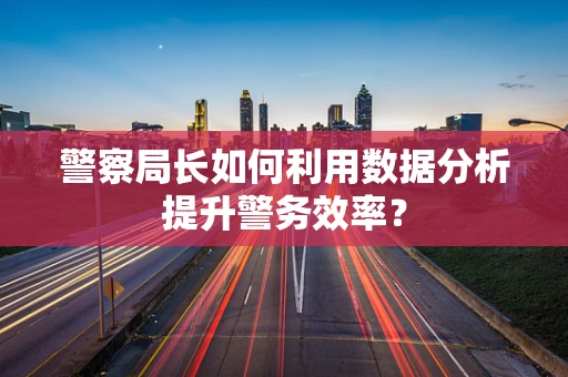 警察局长如何利用数据分析提升警务效率？