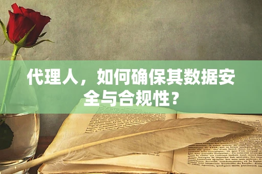 代理人，如何确保其数据安全与合规性？