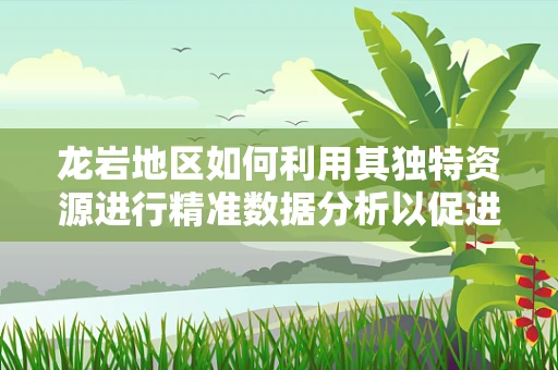 龙岩地区如何利用其独特资源进行精准数据分析以促进地方经济发展？
