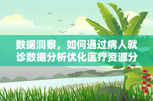 数据洞察，如何通过病人就诊数据分析优化医疗资源分配？