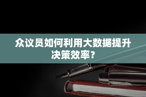 众议员如何利用大数据提升决策效率？