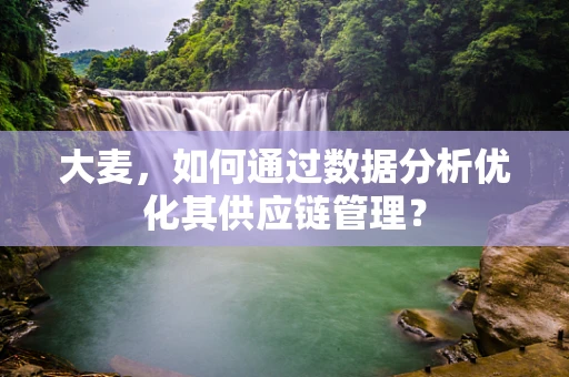 大麦，如何通过数据分析优化其供应链管理？