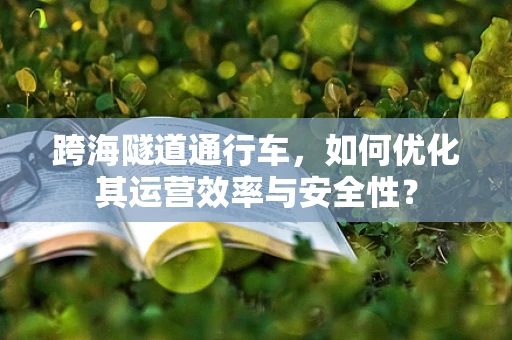 跨海隧道通行车，如何优化其运营效率与安全性？