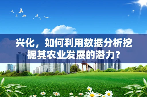 兴化，如何利用数据分析挖掘其农业发展的潜力？