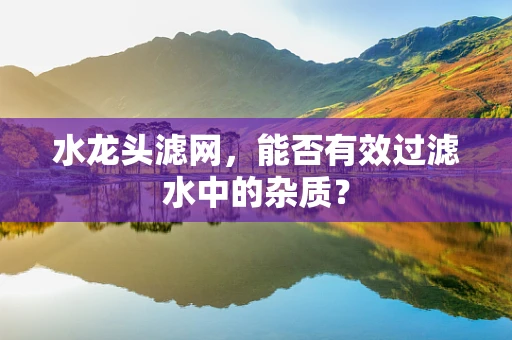 水龙头滤网，能否有效过滤水中的杂质？