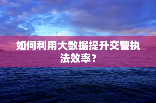 如何利用大数据提升交警执法效率？