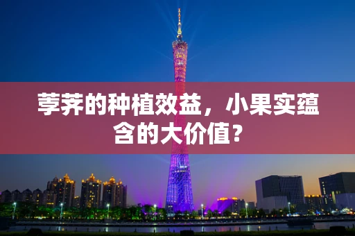 荸荠的种植效益，小果实蕴含的大价值？
