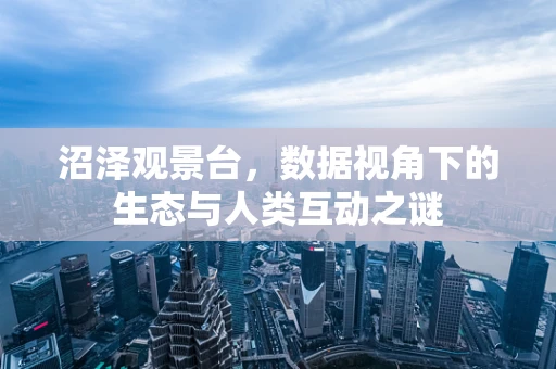 沼泽观景台，数据视角下的生态与人类互动之谜