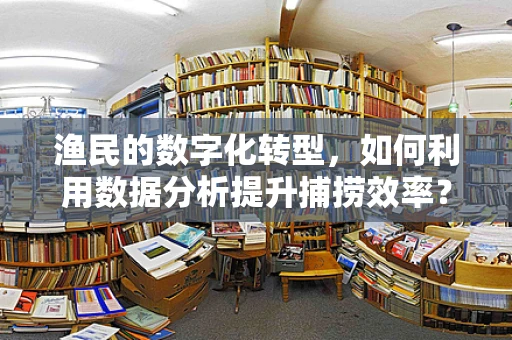 渔民的数字化转型，如何利用数据分析提升捕捞效率？