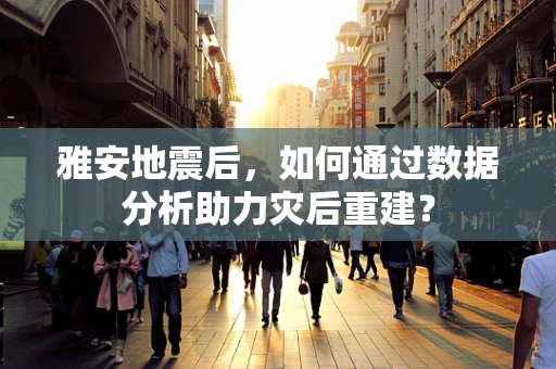 雅安地震后，如何通过数据分析助力灾后重建？