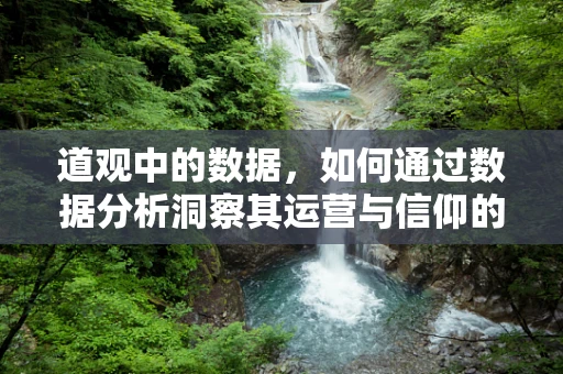 道观中的数据，如何通过数据分析洞察其运营与信仰的微妙平衡？