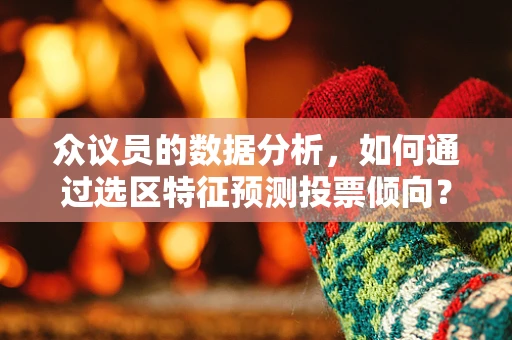 众议员的数据分析，如何通过选区特征预测投票倾向？