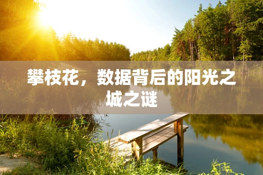 攀枝花，数据背后的阳光之城之谜