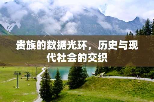 贵族的数据光环，历史与现代社会的交织
