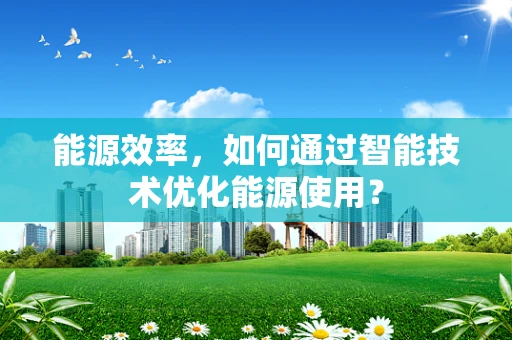 能源效率，如何通过智能技术优化能源使用？