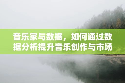 音乐家与数据，如何通过数据分析提升音乐创作与市场影响力？