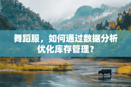 舞蹈服，如何通过数据分析优化库存管理？
