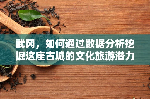 武冈，如何通过数据分析挖掘这座古城的文化旅游潜力？
