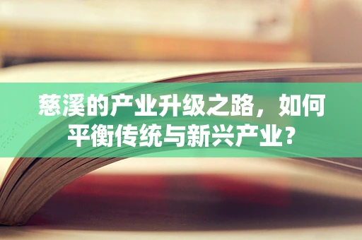 慈溪的产业升级之路，如何平衡传统与新兴产业？