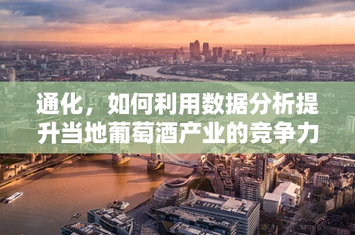 通化，如何利用数据分析提升当地葡萄酒产业的竞争力？