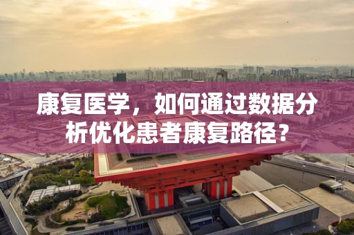 康复医学，如何通过数据分析优化患者康复路径？